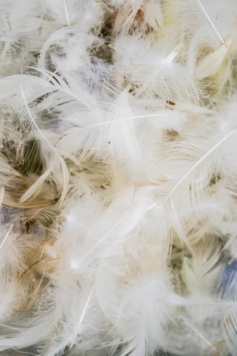 Mezcla de pluma y picado de espuma – Aireación natural y comodidad equilibrada