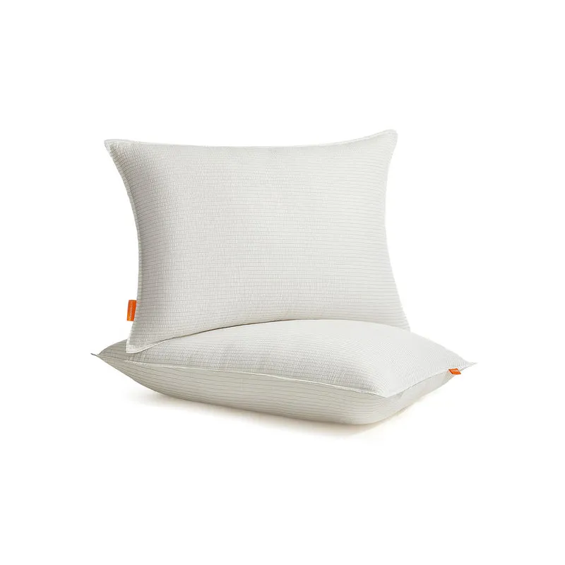 Juego de 2 Almohadas