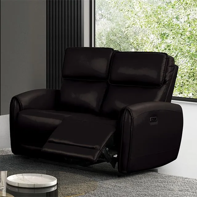 Furniture of America Schlieren FM6012BK-LV-PM Power Loveseat