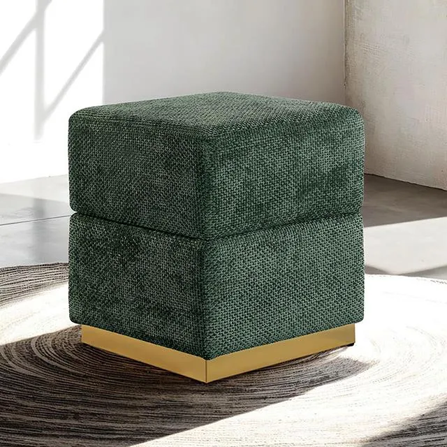 Furniture of America Krysten FM-AC8005GR Storage Stool