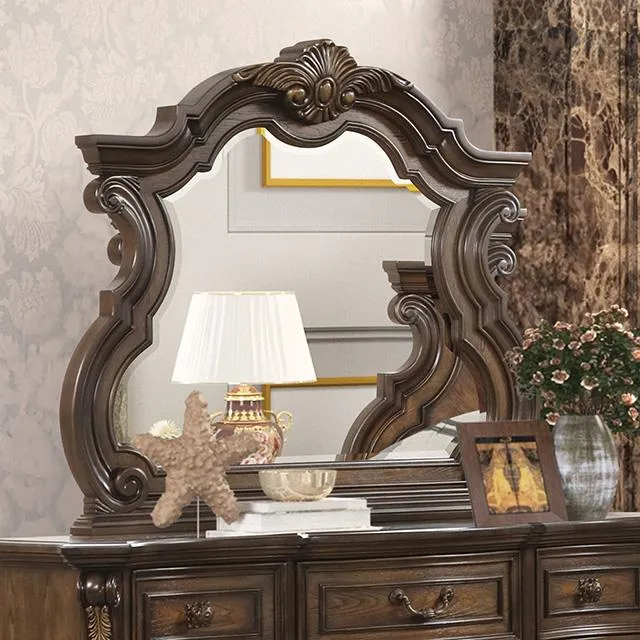 Furniture of America Leovanni FM70003DB-M Mirror