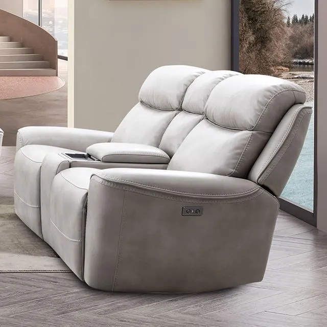 Furniture of America Artemia CM9922FG-LV-PM-PK Power Loveseat