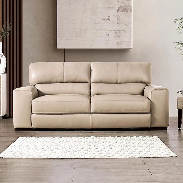 Furniture of America Marsicano FM90005TP-SF Sofa
