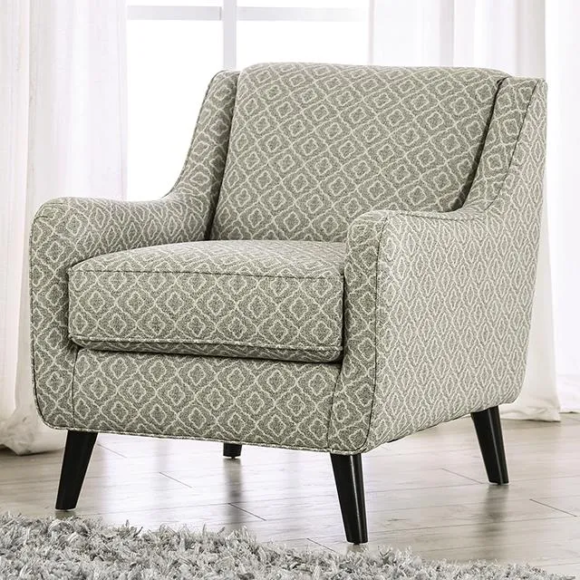 Furniture of America Stephney SM8193-CH-SQ Chair
