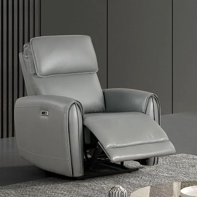 Furniture of America Schlieren FM6012GY-CH-PM Power Recliner