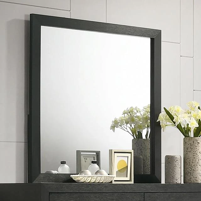 Furniture of America Latimer FM7270BK-M Mirror