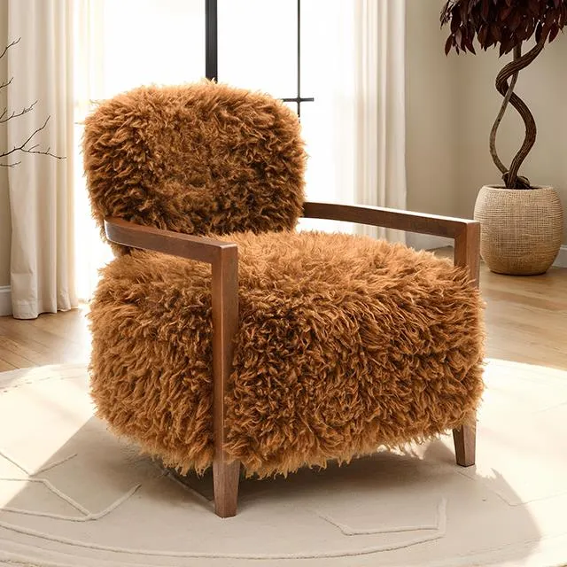 Furniture of America Eramo FM-AC6005BR Accent Chair