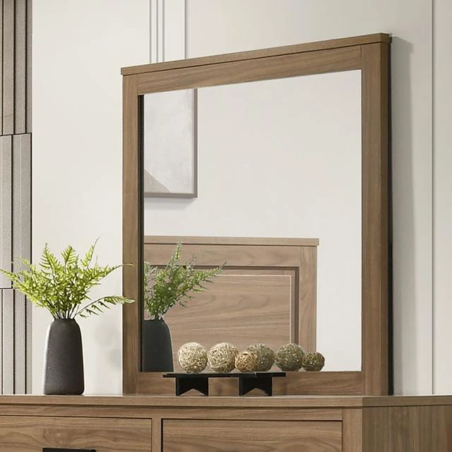 Furniture of America Panelli FM72017BR-M Mirror