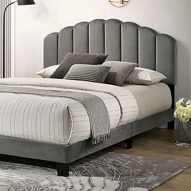 Furniture of America Christi TM7001DG-Q Queen Bed