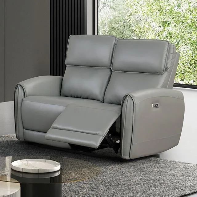 Furniture of America Schlieren FM6012GY-LV-PM Power Loveseat