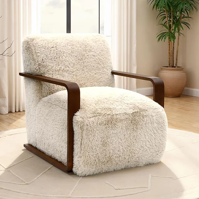 Furniture of America Elardo FM-AC6006BG Accent Chair