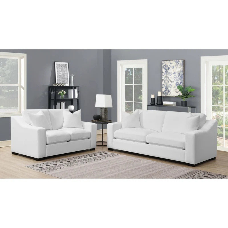 Coaster Furniture Ashlyn 509891-S2 2 pc Living Room Set
