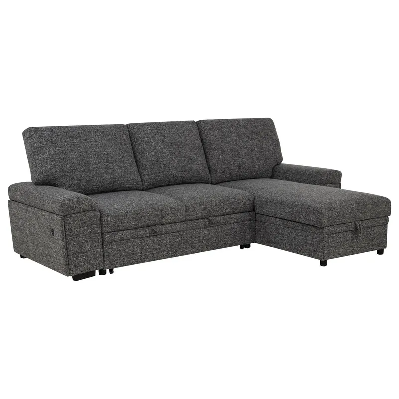 Coaster Furniture Demko 500355 Sleeper Sectional Sofa with Speaker and Storage Chaise - Granite
