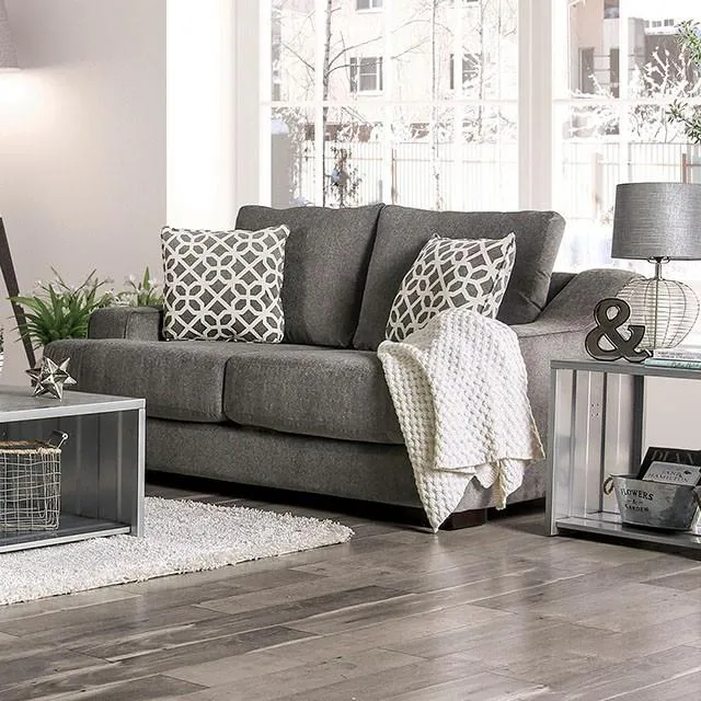Furniture of America Adrian SM9101-LV Love Seat