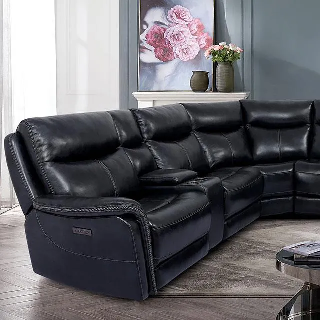 Furniture of America Braylee CM9904-SECT Power Sectional