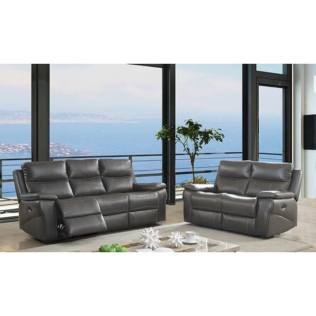 Furniture of America Lila CM6540-LV-PM Power-Assist Love Seat