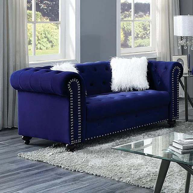 Furniture of America Giacomo CM6240BL-LV-PK Loveseat