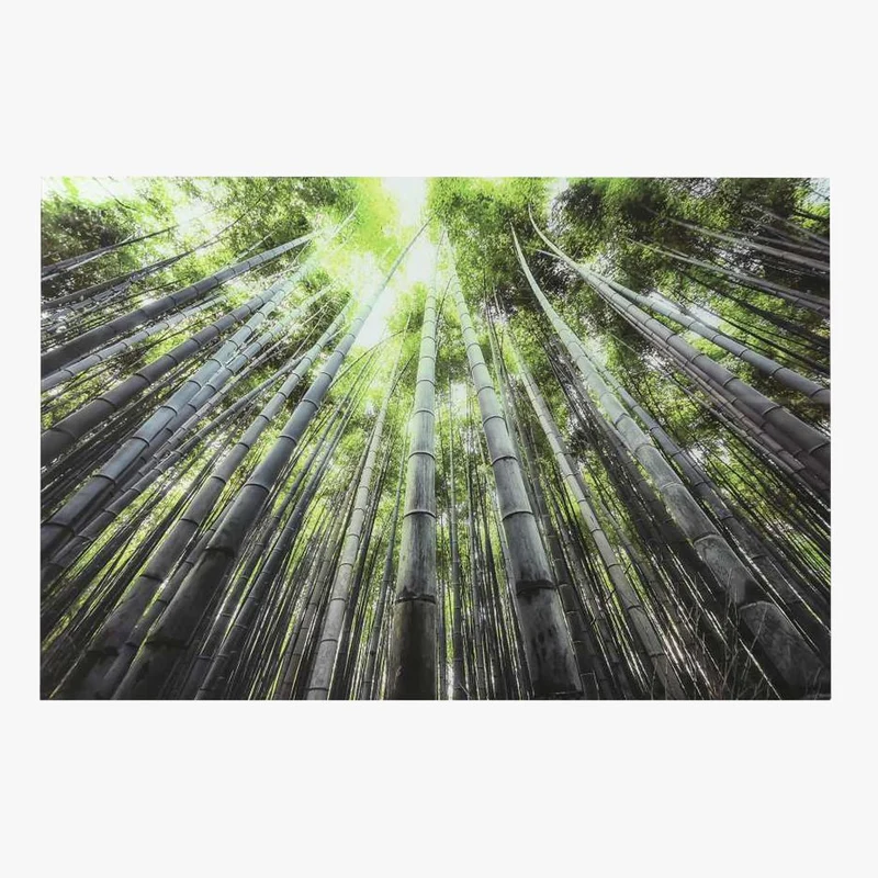 Quadro Vidro Floresta 150x100
