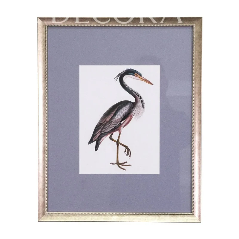 Cuadros Aves de Libro