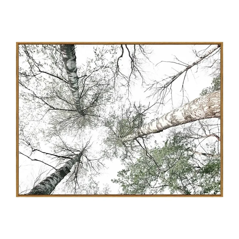 Cuadro Bosque