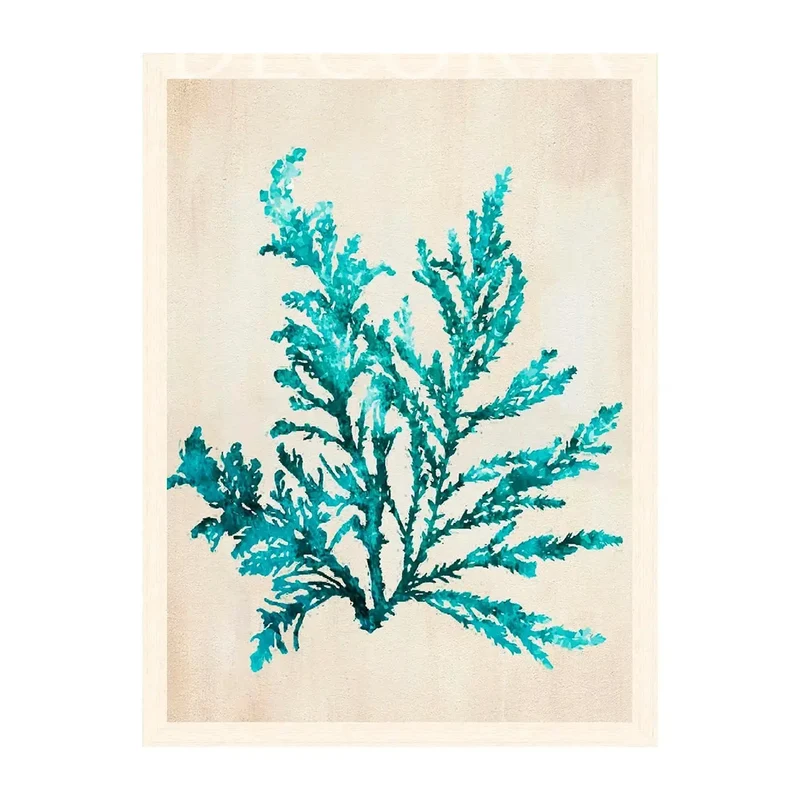 Cuadro Coral Calipso