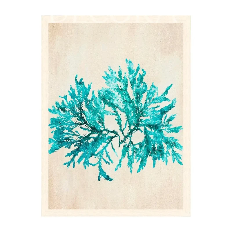 Cuadro Coral Calipso