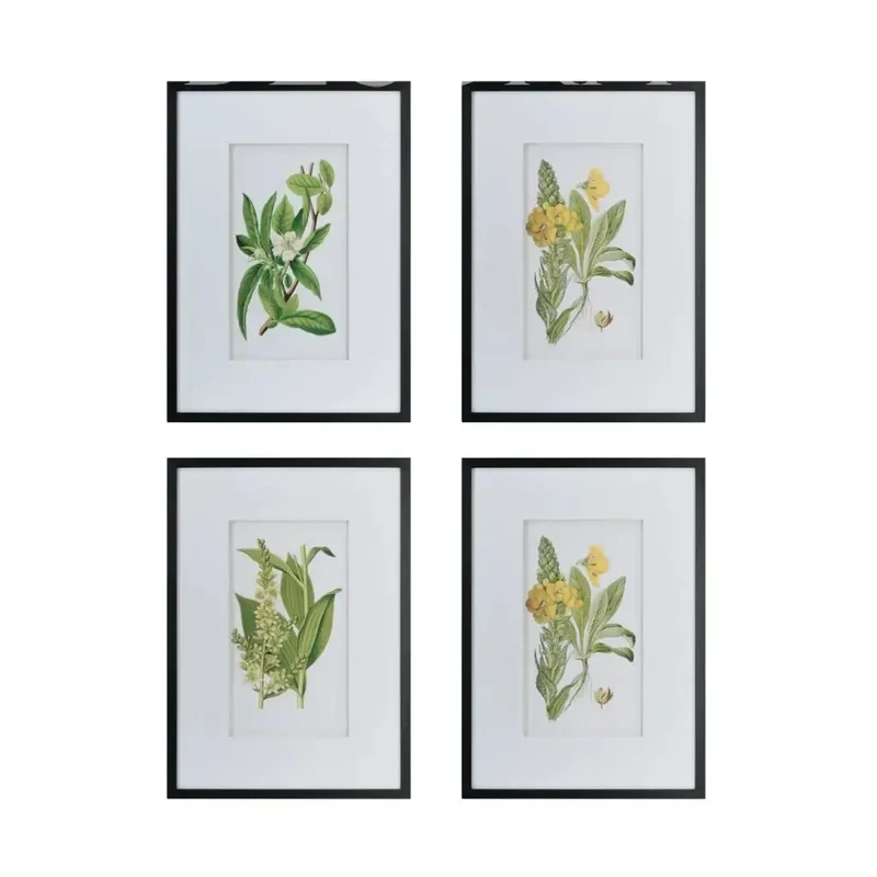 Cuadros decorativos de plantas naturales - Set de 4
