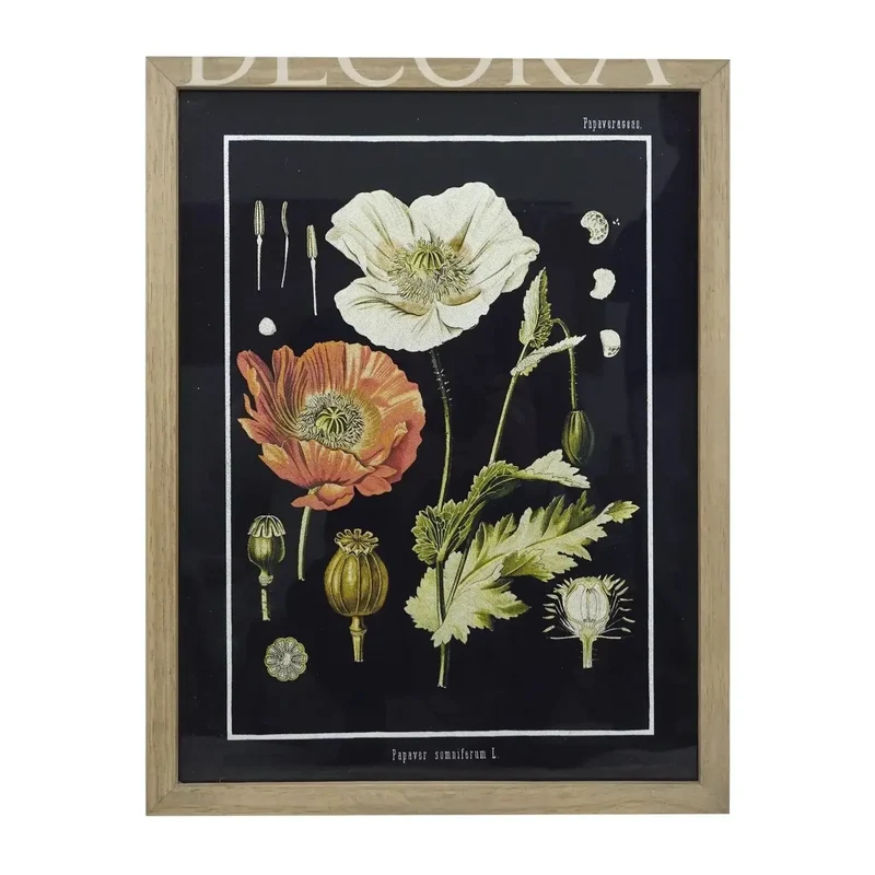 Cuadro Botánico Papaver Somniferum