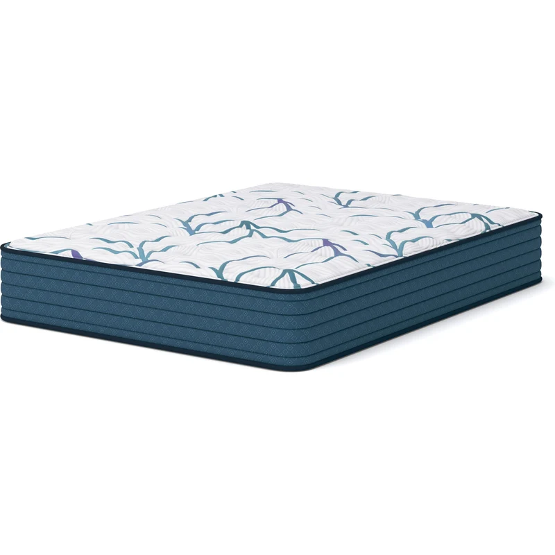 Sierra Sleep Limited Edition Firm 3.0 M45031 Queen Mattress