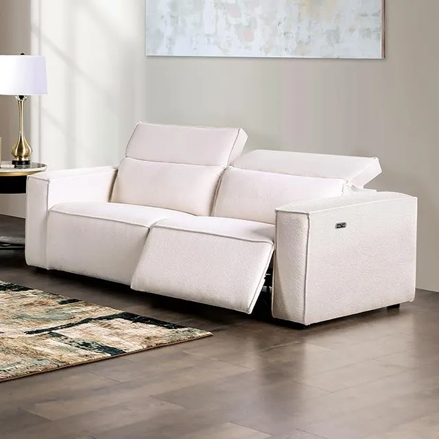 Furniture of America Treharris FM62002WH-LV-PM-PK Power Loveseat