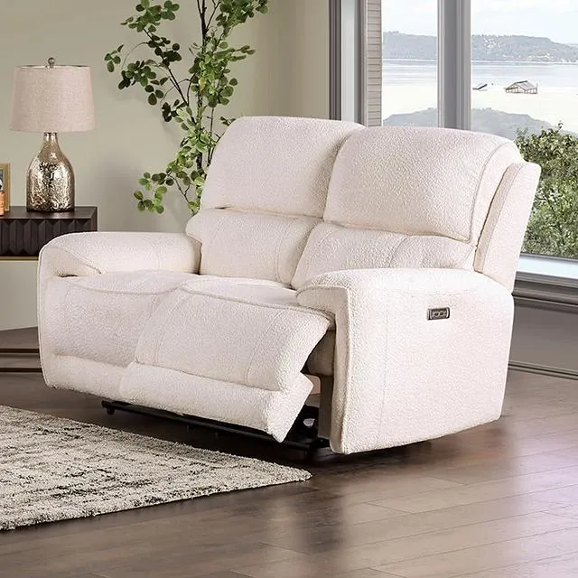 Furniture of America Morcote FM62001BG-LV-PM Power Loveseat