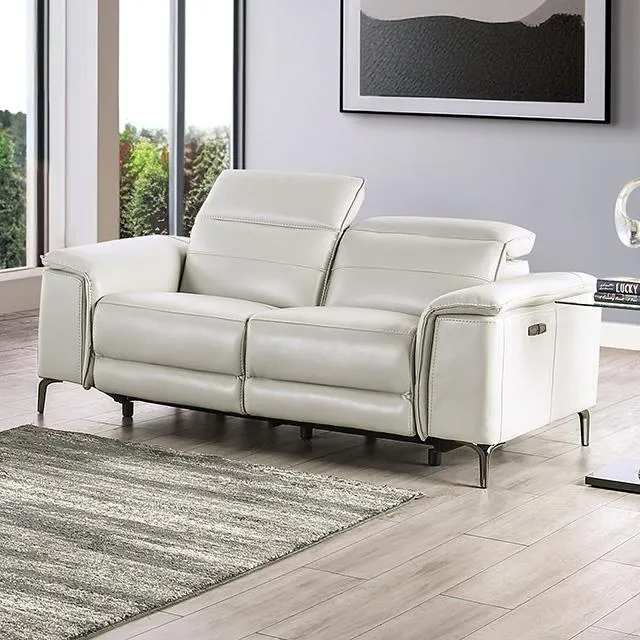 Furniture of America Ascona CM9927FG-LV-PM Power Loveseat