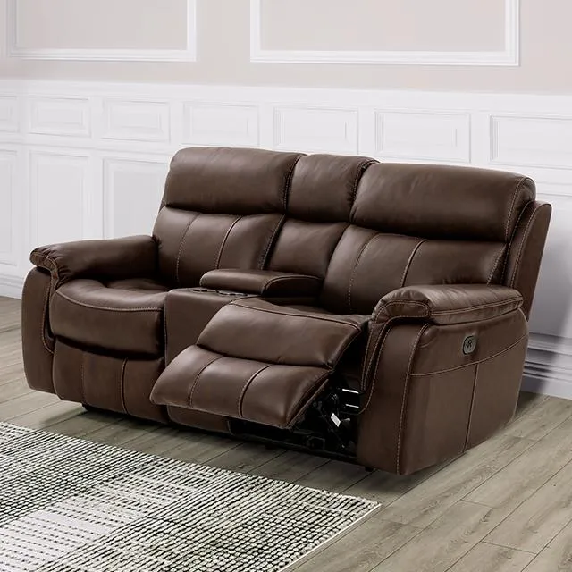 Furniture of America Antenor CM9926MB-LV-PM-PK Power Loveseat