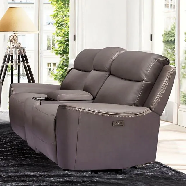 Furniture of America Artemia CM9922GY-LV-PM-PK Power Loveseat