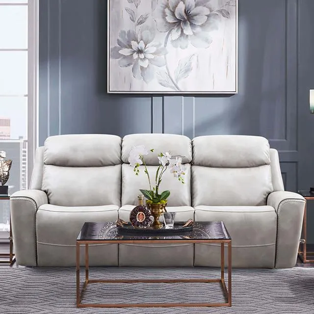 Furniture of America Artemia CM9922FG-SF-PM Power Sofa