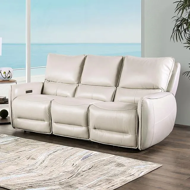 Furniture of America Phineas CM9921ST-SF-PM Power Sofa