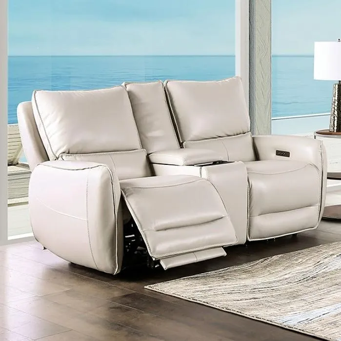 Furniture of America Phineas Power Reclining Loveseat CM9921ST-LV-PM