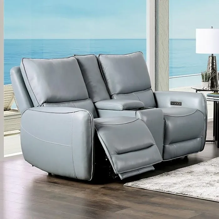 Furniture of America Phineas Power Reclining Loveseat CM9921PB-LV-PM