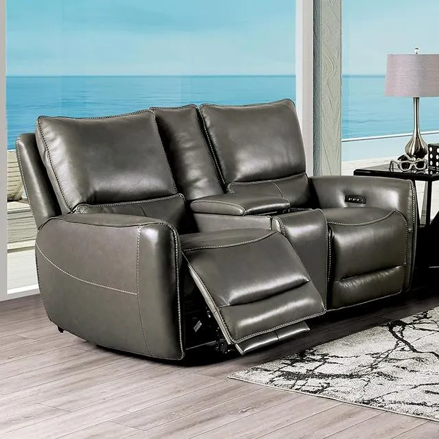 Furniture of America Phineas CM9921GY-LV-PM Power Loveseat