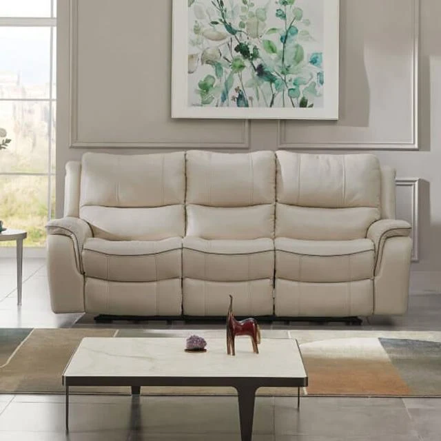 Furniture of America Henricus CM9911BG-SF Sofa