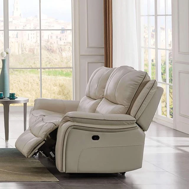 Furniture of America Henricus CM9911BG-LV Loveseat