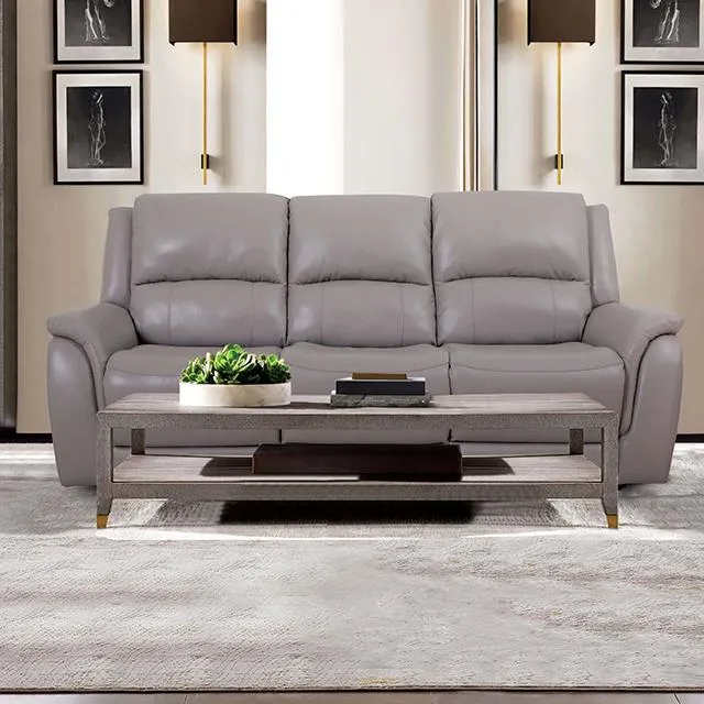 Furniture of America Gorgius CM9910ST-SF-PM-PK Power Sofa