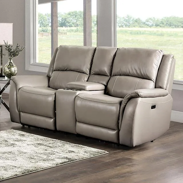 Furniture of America Gorgius CM9910ST-LV-PM-PK Power Loveseat