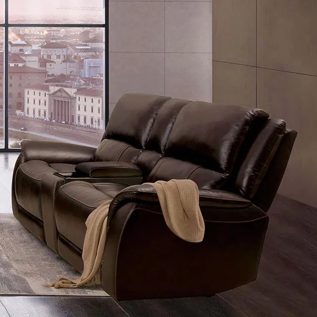 Furniture of America Gorgius CM9910ES-LV-PM-PK Power Loveseat