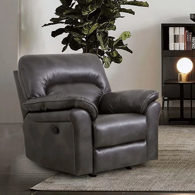 Furniture of America Josias CM9908DG-CH Glider Recliner