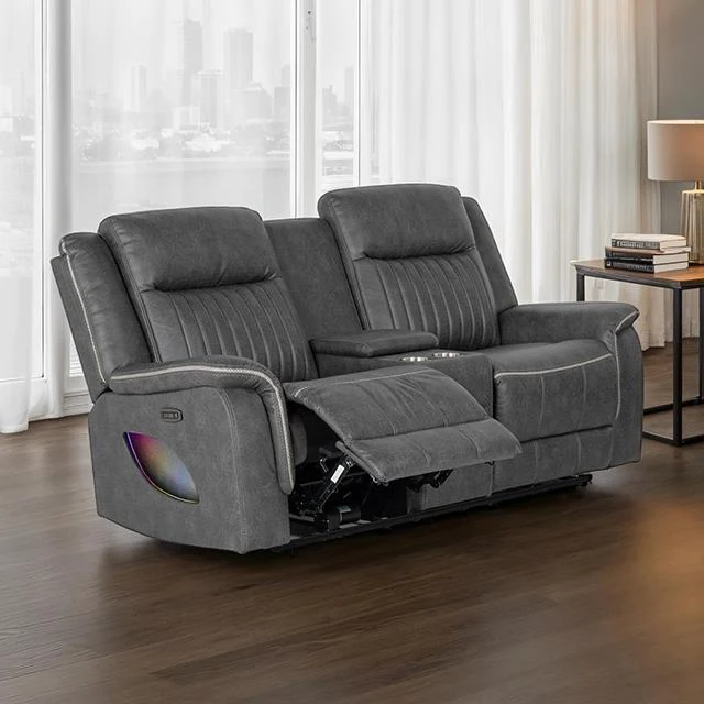 Furniture of America Arturus NX6061DG-LV-PM Power Loveseat