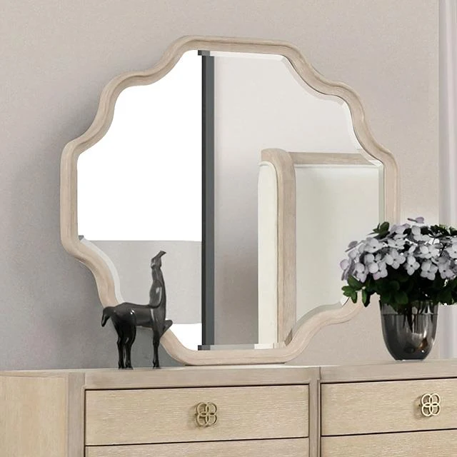 Furniture of America Candra FM7424AK-M Mirror