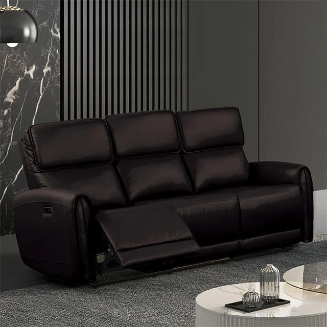 Furniture of America Schlieren FM6012BK-SF-PM Power Sofa