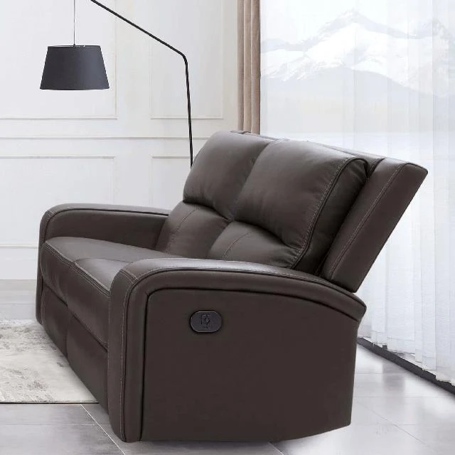Furniture of America Vasilios CM9914GY-LV-PM Power Loveseat