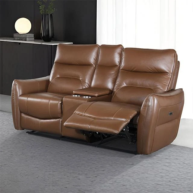 Furniture of America Terentius FM69006BR-LV-PM Power Loveseat